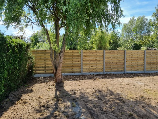 Bomen platen
